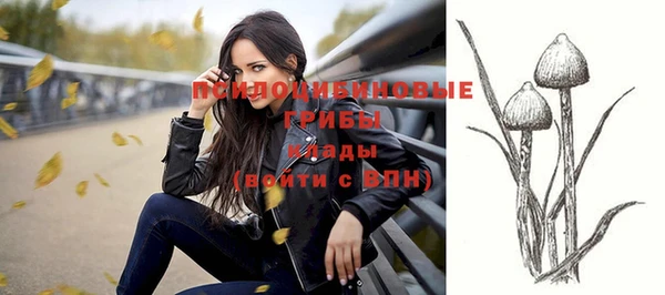 apvp Балахна